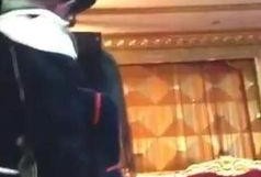 盘点网友爆料直播视频,揭秘热门事件幕后真相